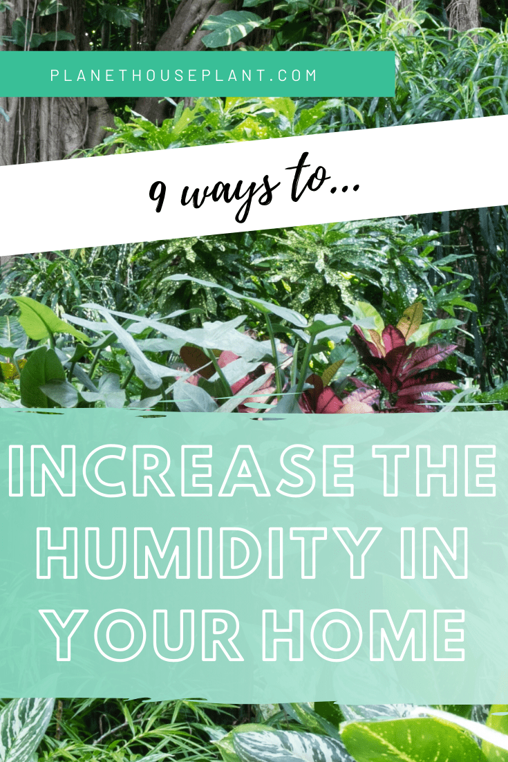 Best way to add humidity to clearance your home